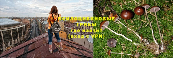 первитин Кукмор