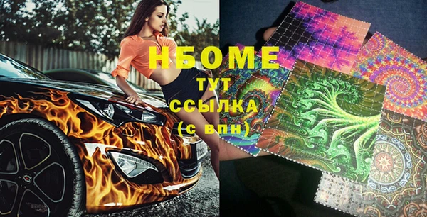 шишки Краснослободск