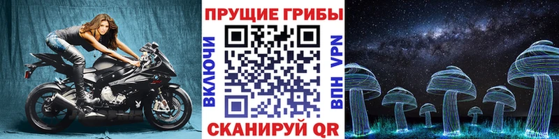 закладки  гидра ссылки  Галлюциногенные грибы MAGIC MUSHROOMS  Тотьма 